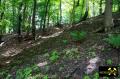 Grube Apollo bei Raubach nahe Puderbach im Westerwald, Rheinland-Pfalz, (D) (18) 07. Juni 2015.JPG